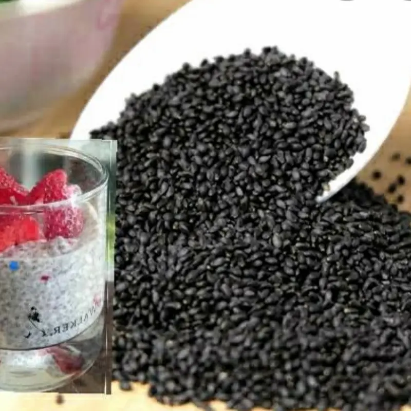 BIJI SELASIH 2 KG./ BASILIA SEED 0