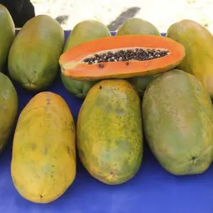 Buah Pepaya California Segar