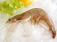 Gambar TheOrganicStop Pure Prawn Powder Bubuk Udang Murni 65 gram dari The Organic Stop Kota Administrasi Jakarta Selatan 2 Tokopedia