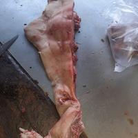 Gambar Daging Babi paket LeHer + Pipi + Hati fresh dari BonaPork sukses Kota Administrasi Jakarta Timur 2 Tokopedia