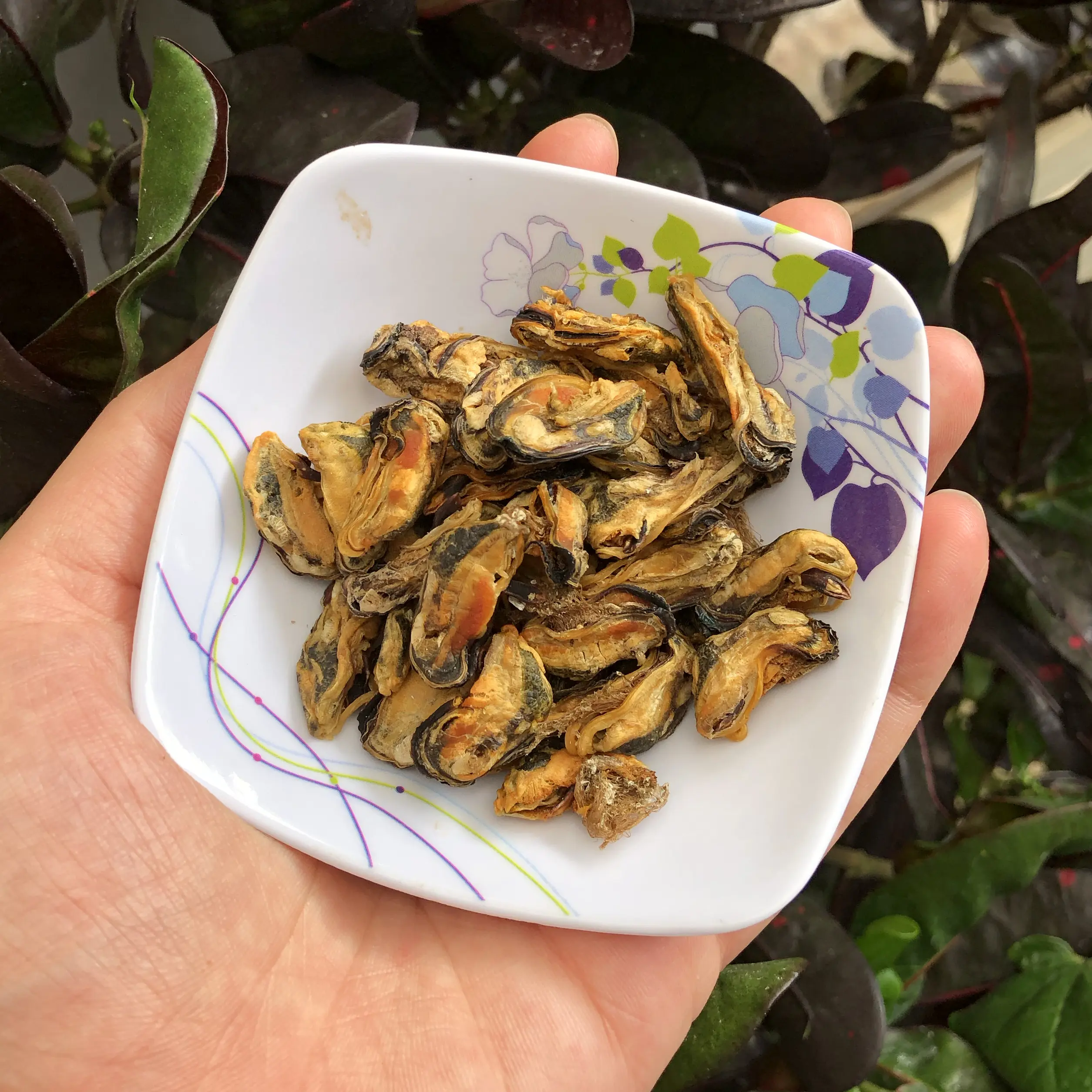 Rocky n Co|Green Lipped Mussels Air Dried Dehydrated Dog Treats Snack