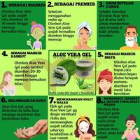Gambar MSI Aloe Vera Gel Original | MSI Beauty Aloevera Moisture Soothing Gel dari Mimibaby Kab. Bogor 4 Tokopedia