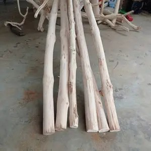 Kayu Kopi Lurus untuk Tangkringan Burung Panjang