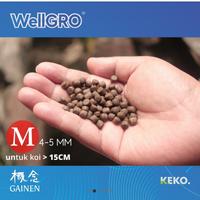 Gambar Pakan KOI Wellgro Growth M 2 KG Floating dari IG Koi Kota Bekasi 3 Tokopedia