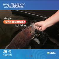 Gambar Pakan KOI Wellgro Growth M 2 KG Floating dari IG Koi Kota Bekasi 5 Tokopedia