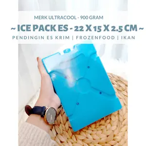 Ice Pack Tas | ice pack ice cream | Ice pack cooler es coller pack