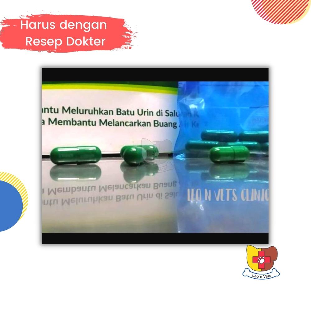 Obat Peluruh Kristal Urin