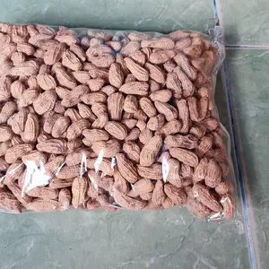 Kacang Bali Sangrai Rasa ORIGINAL Enak
