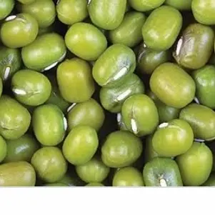 kacang hijau per 250gram