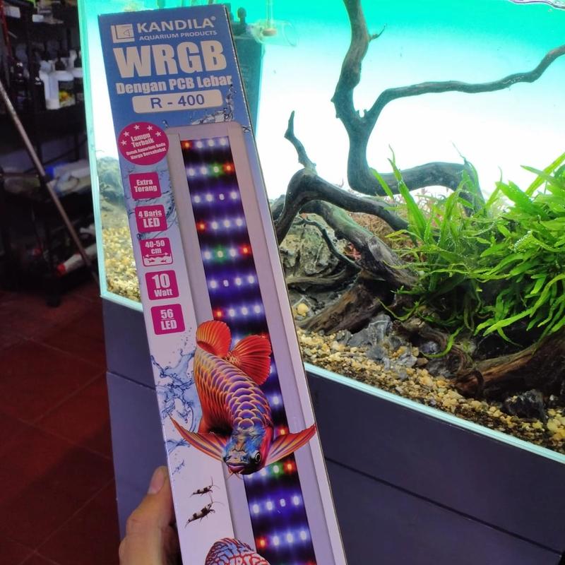 LAMPU LED KANDILA R400 R-400 WRGB 10W AQUARIUM AQUASCAPE 40-50CM LED ...
