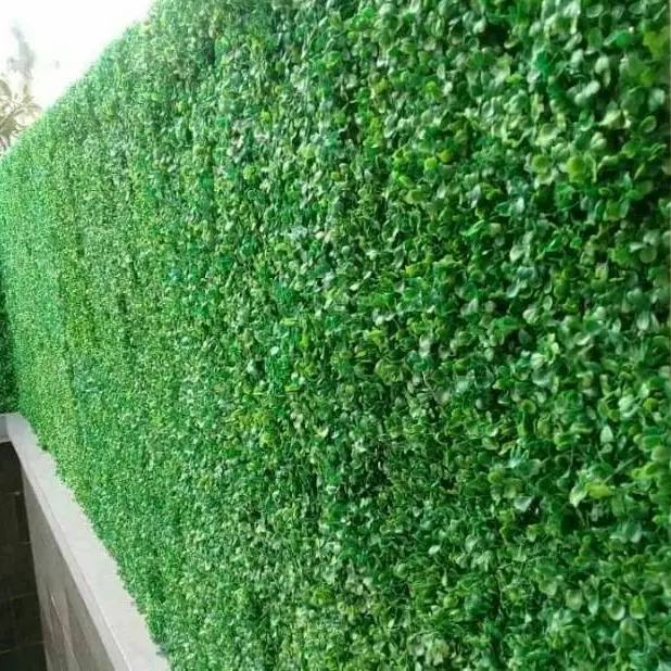 Daun Dollar UK 50x50CM FULL HIJAU - Cocok Untuk Indoor Dan Outdoor 6