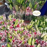 Gambar Casablanca lily fresh. - 7017 Bunga lili asli. Lily fresh kuntum. dari Gaby Bella Florist Kota Administrasi Jakarta Selatan 4 Tokopedia