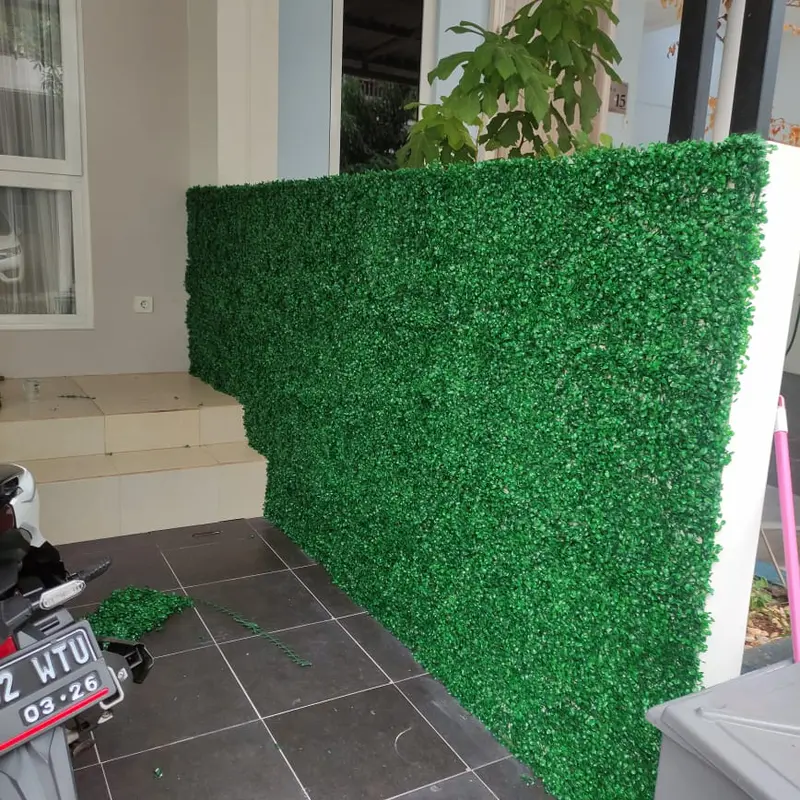 Daun Dollar UK 50x50CM FULL HIJAU - Cocok Untuk Indoor Dan Outdoor 7