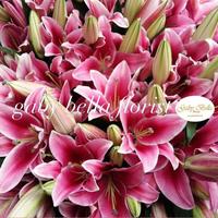 Gambar Casablanca lily fresh. - 7017 Bunga lili asli. Lily fresh kuntum. dari Gaby Bella Florist Kota Administrasi Jakarta Selatan 5 Tokopedia
