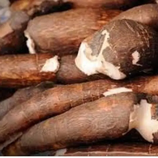 singkong mentah 1kg