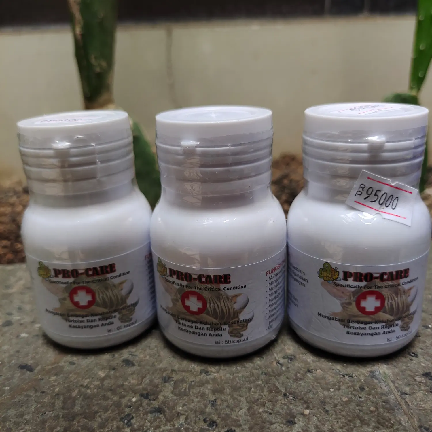 PROCARE JKK PRO ECERAN/PRO CARE OBAT VITAMIN PHENOMONIA PILEK ECER