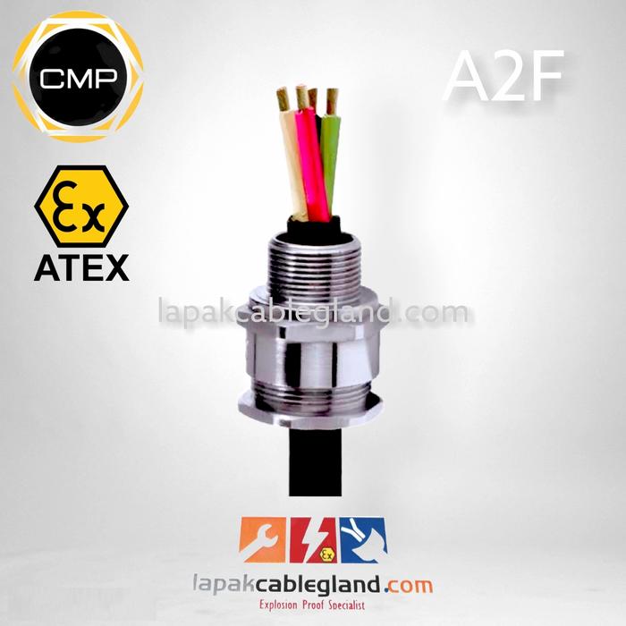 Jual CMP Exproof Cable Gland 20s A2F M20 non armour Brass Nickel Plated ...