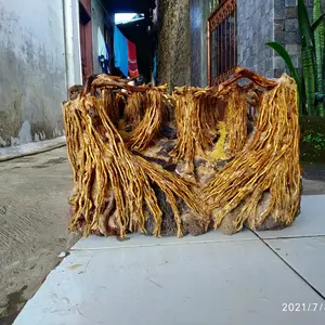 costum hardscape jungle 40cm