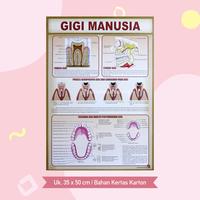 Gambar Poster Lembaran Seri Organ Manusia Kepala Hati Gigi Kulit Alat Gerak / Pustaka Baru Press - PB - Kepala & Otak dari Pustaka Baru Press Kab. Bantul 5 Tokopedia