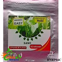 Gambar Benih Bibit Sawi / Sayur Daun Sawi Hijau / Benih Hidroponik / Tanah dari TopHydro Kab. Bekasi 1 Tokopedia