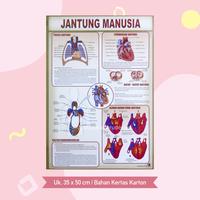 Gambar Poster Lembaran Seri Organ Manusia Kepala Hati Gigi Kulit Alat Gerak / Pustaka Baru Press - PB - Kepala & Otak dari Pustaka Baru Press Kab. Bantul 4 Tokopedia