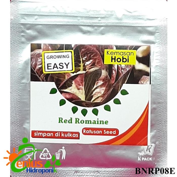 Gambar Benih Bibit Selada Red Romaine / Selada Lettuce Sayuran Selada Merah dari TopHydro Kab. Bekasi Tokopedia