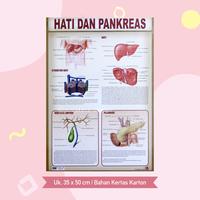 Gambar Poster Lembaran Seri Organ Manusia Kepala Hati Gigi Kulit Alat Gerak / Pustaka Baru Press - PB - Kepala & Otak dari Pustaka Baru Press Kab. Bantul 3 Tokopedia