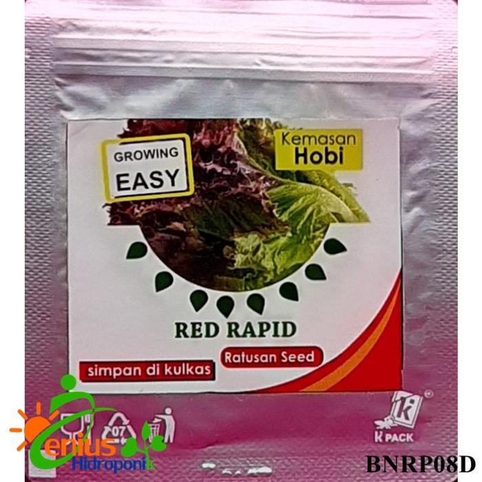Gambar Benih Bibit Selada Red Rapid / Bibit Sayuran Lettuce Selada Merah dari TopHydro Kab. Bekasi Tokopedia