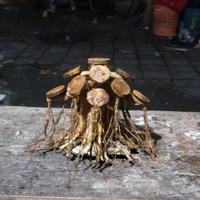 Gambar bonsai aquascape beringin mini ukuran 10x10 cm tanpa buce dari Bojong aquascape Kab. Pekalongan 3 Tokopedia
