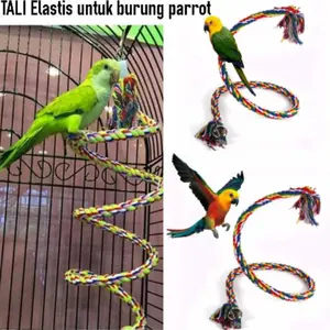 Mainan tangga gantung model spiral elastis untuk paruh bengkok