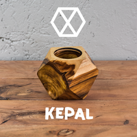 Gambar Kepal - Pot Kayu Geometris dari Tumbuh Sepetak Kota Depok 1 Tokopedia