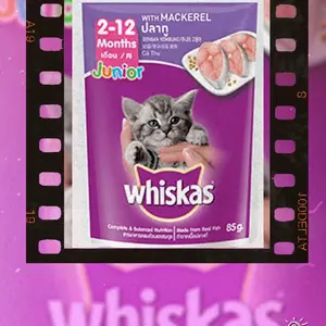 whiskas junior pouch 85gr