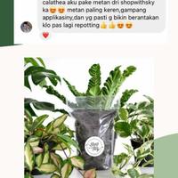 Gambar Cocopeat Murni untuk Media Tanam, Pembibitan dan Hidroponik 500 gram dari Shop with Sky Jakarta Selatan 3 Tokopedia