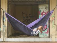 Gambar Ticket To The Moon Original Hammock Navy/Purple - Hammock Nyaman untuk Tidur - Cocok untuk Perjalanan & Santai di Taman - 320x200 cm - OEKO-TEX Standard 100 dari Ticket To The Moon Kab. Badung 4 Tokopedia