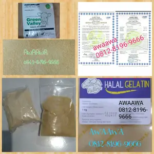 100 gr serbuk bubuk murni gelatin gelatine powder sapi halal MUI
