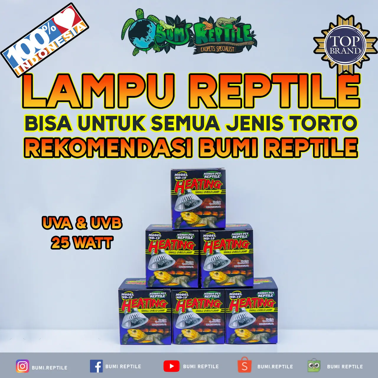 Lampu Reptile, bisa untuk sulcata pardalis dan semua jenis torto