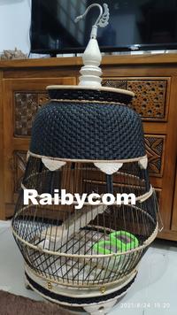 Gambar KANDANG BURUNG PERKUTUT ROTAN JAMBU RAJUT SANGKAR ANYAMAN KUTUT LOKAL dari Raibycom Kota Bekasi 3 Tokopedia