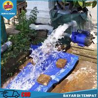 Gambar Pompa Air Irigasi JET 175 Hemat Listrik Untuk Irigasi Sawah dari Suryaguna Store Kab. Tulungagung 3 Tokopedia