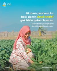 Gambar BENIH SAWI HIJAU ANDINI Kemasan Urban Farming dari Tunas Agro Persada Kab. Demak 3 Tokopedia
