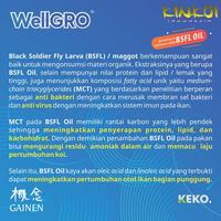 Gambar KINKOI Pakan Koi - WellGRO Growth 2kg (M) - Floating dari kinkoi_jakarta Jakarta Selatan 5 Tokopedia