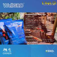 Gambar KINKOI Pakan Koi - WellGRO Growth 2kg (M) - Floating dari kinkoi_jakarta Jakarta Selatan 3 Tokopedia