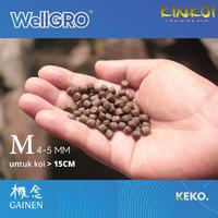 Gambar KINKOI Pakan Koi - WellGRO Growth 2kg (M) - Floating dari kinkoi_jakarta Jakarta Selatan 4 Tokopedia