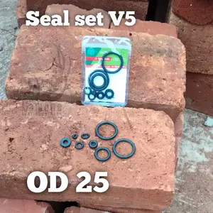 Seal set V5 OD 25 triplle seal