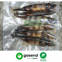 Gambar IKAN LAYANG ASAP BESAR dari tukatukushop.id Kota Tangerang Selatan 2 Tokopedia