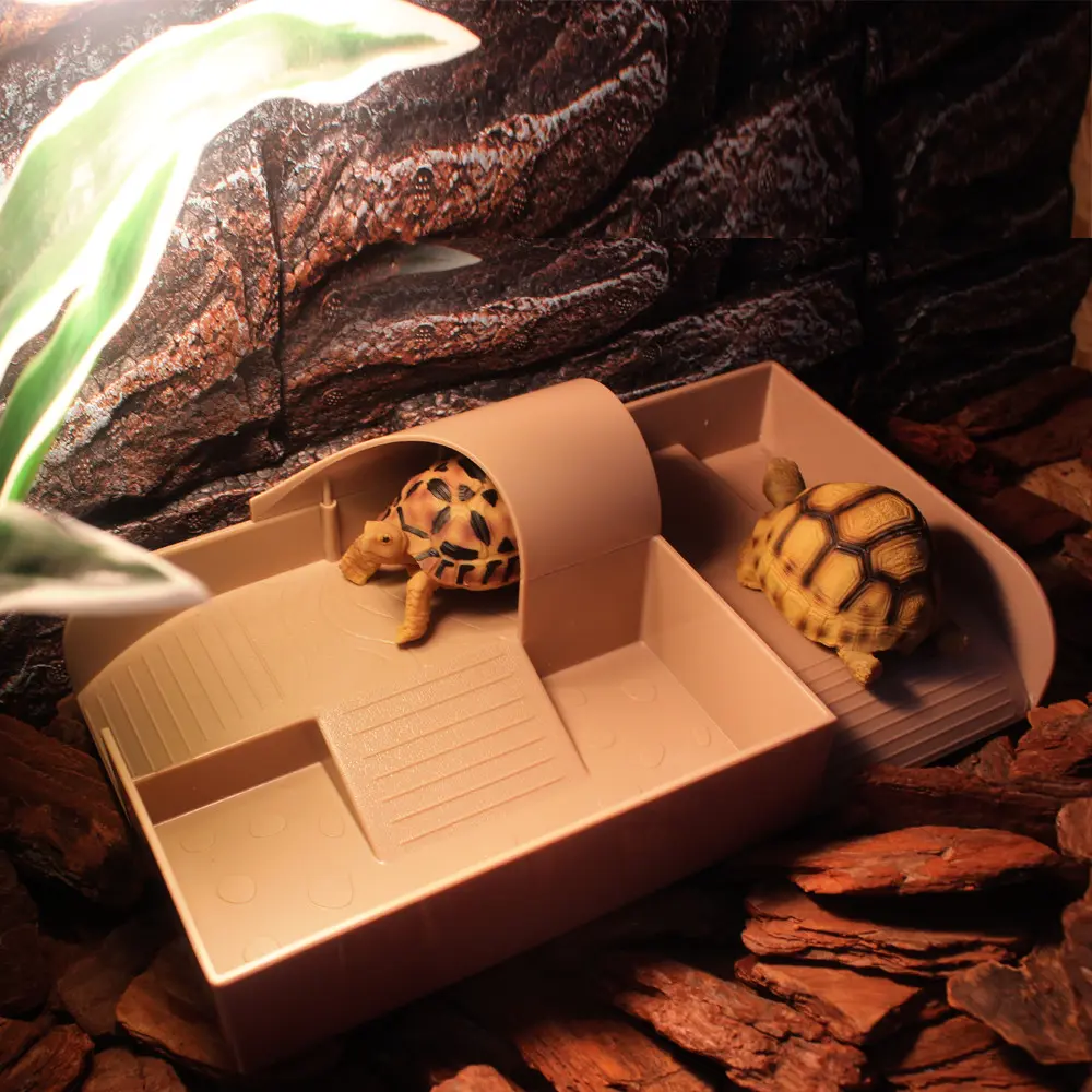 Reptile Happy Valley Basking Platform Tempat Bermain Kura Nomoy NF-11