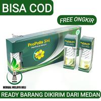Gambar Obat Pengering Luka Sayatan - Luka basah - Luka Bakar - Propolis SM dari herbal melayu deli Kota Administrasi Jakarta Barat 5 Tokopedia