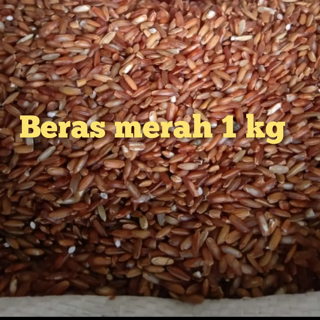 beras merah 1 kg pakan ayam bangkok ayam hobi