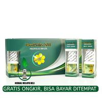 Gambar Obat Pengering Luka Sayatan - Luka basah - Luka Bakar - Propolis SM dari herbal melayu deli Kota Administrasi Jakarta Barat 3 Tokopedia