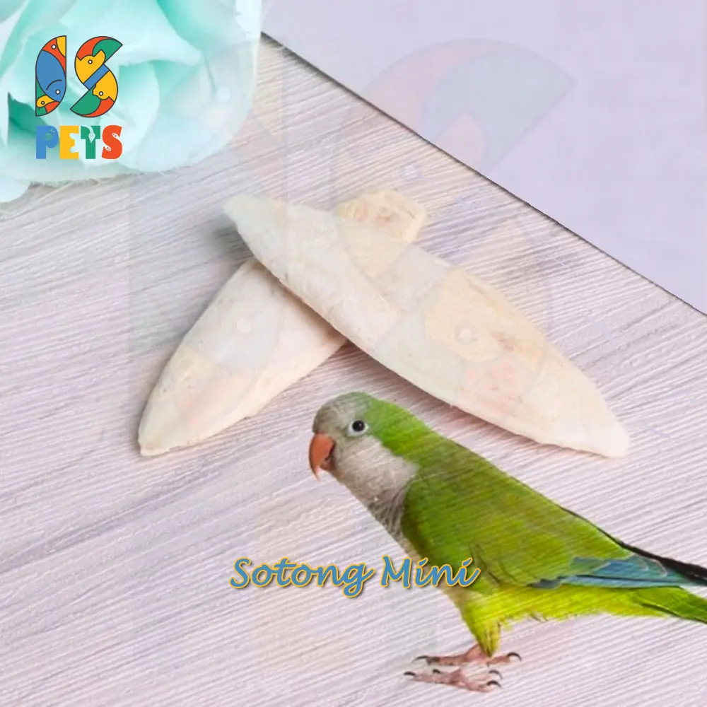 Tulang Sotong Mini Asinan Makanan Burung LOvebird Kenari Perkutut
