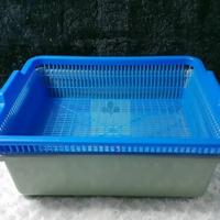 Gambar keranjang kangkung hidroponik dari Atapponik Store Kota Surabaya 2 Tokopedia